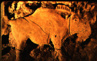 Изображения в пещерата Шове във Франция